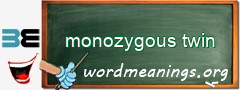 WordMeaning blackboard for monozygous twin